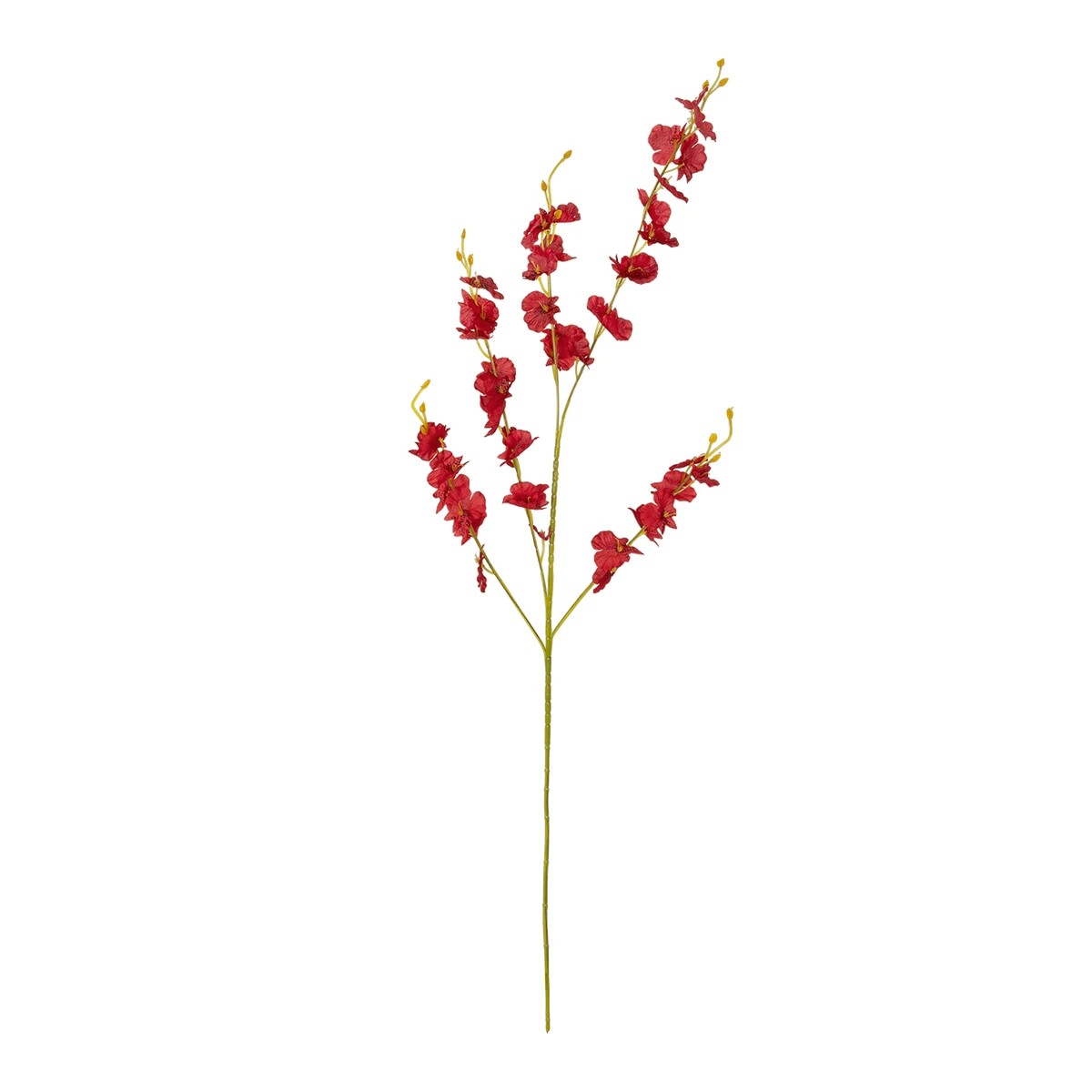 GloboStar® Artificial Garden RED DANCE ORCHID BRANCH 21413 Τεχνητό Διακοσμητικό Κλαδί Κόκκινη Ορχιδέα Y90cm 2 GloboStar® GloboStar® Artificial Garden RED DANCE ORCHID BRANCH 21413 Τεχνητό Διακοσμητικό Κλαδί Κόκκινη Ορχιδέα Y90cm