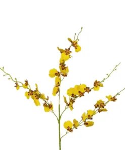 Alternative view of GloboStar® Artificial Garden YELLOW SPRING ORCHIDIUM BRANCH 21415 Τεχνητό Διακοσμητικό Κλαδί Κίτρινη Ορχιδέα Y76cm
