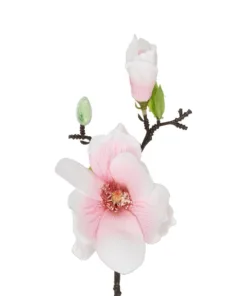 Alternative view of GloboStar® Artificial Garden WHITE PINK MAGNOLIA BRANCH 21417 Τεχνητό Διακοσμητικό Κλαδί Λευκή Ροζ Μανόλια Y36cm