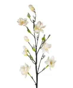 Alternative view of GloboStar® Artificial Garden WHITE YELLOW MAGNOLIA BRANCH 21419 Τεχνητό Διακοσμητικό Κλαδί Λευκή Κίτρινη Μανόλια Y108cm
