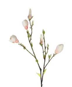 Alternative view of GloboStar® Artificial Garden CHAMPAGNE MAGNOLIA BRANCH 21423 Τεχνητό Διακοσμητικό Κλαδί Σαμπανί Μανόλια Y100cm