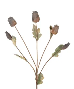 Alternative view of GloboStar® Artificial Garden POPPY FRUIT BRANCH 21432 Τεχνητό Διακοσμητικό Κλαδί Παπαρούνα Y62cm