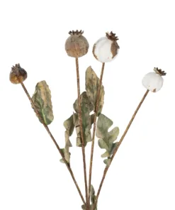Alternative view of GloboStar® Artificial Garden POPPY FRUIT BRANCH 21433 Τεχνητό Διακοσμητικό Κλαδί Παπαρούνα Y60cm