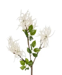 Alternative view of GloboStar® Artificial Garden WHITE AMARANTHUS FRUIT BRANCH 21447 Τεχνητό Διακοσμητικό Κλαδί Λευκός Αμάρανθος Y95cm