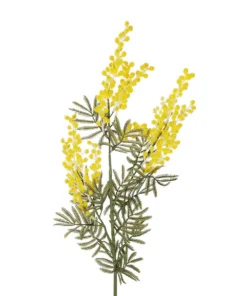 GloboStar® Artificial Garden YELLOW MIMOSA FRUIT BRANCH 21451 Τεχνητό Διακοσμητικό Κλαδί Κίτρινη Μιμόζα Y76cm 6 21451 3