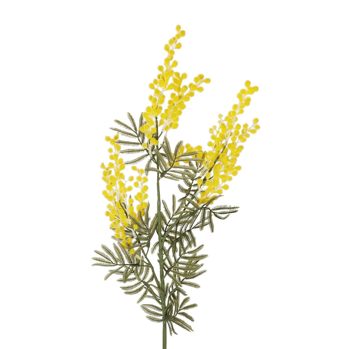 GloboStar® Artificial Garden YELLOW MIMOSA FRUIT BRANCH 21451 Τεχνητό Διακοσμητικό Κλαδί Κίτρινη Μιμόζα Y76cm 3 GloboStar® Artificial Garden YELLOW MIMOSA FRUIT BRANCH 21451 Τεχνητό Διακοσμητικό Κλαδί Κίτρινη Μιμόζα Y76cm - Image 2