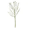 GloboStar® GloboStar® Artificial Garden BIG SPROUT BLOSSOM BRANCH 21461 Τεχνητό Διακοσμητικό Κλαδί Πράσινο Λάχανο Y150cm