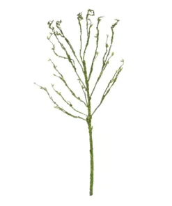 GloboStar® GloboStar® Artificial Garden BIG SPROUT BLOSSOM BRANCH 21461 Τεχνητό Διακοσμητικό Κλαδί Πράσινο Λάχανο Y150cm