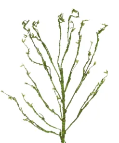 Alternative view of GloboStar® Artificial Garden BIG SPROUT BLOSSOM BRANCH 21461 Τεχνητό Διακοσμητικό Κλαδί Πράσινο Λάχανο Y150cm