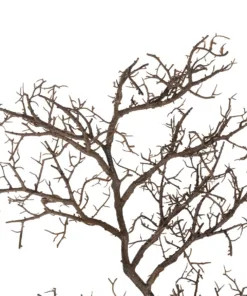 Alternative view of GloboStar® Artificial Garden EXTRA LARGE CORAL BRANCH 21464 Τεχνητό Διακοσμητικό Κλαδί Koράλι Y110cm