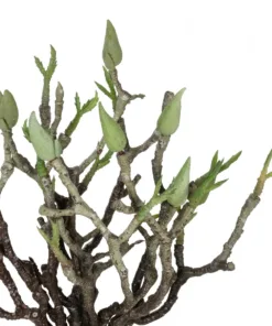 Alternative view of GloboStar® Artificial Garden GREEN ORCHID BOUQET 21466 Τεχνητό Διακοσμητικό Μπουκέτο Πράσινη Ορχιδέα Y34cm