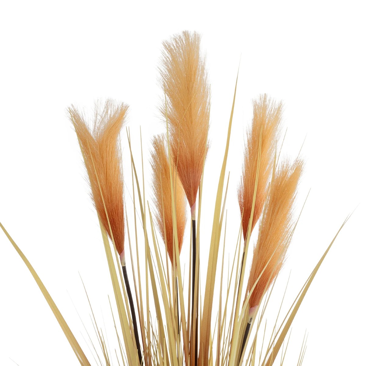 GloboStar® Artificial Garden PAMPAS GRASS 21475 Τεχνητό Διακοσμητικό Φυτό Παμπας Υ120cm 3 GloboStar® Artificial Garden PAMPAS GRASS 21475 Τεχνητό Διακοσμητικό Φυτό Παμπας Υ120cm - Image 2