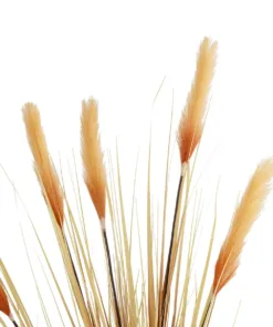 GloboStar® Artificial Garden PAMPAS GRASS 21476 Τεχνητό Διακοσμητικό Φυτό Μπεζ Πάμπας Μ90 x Π40 x Υ150cm 7 21476 3