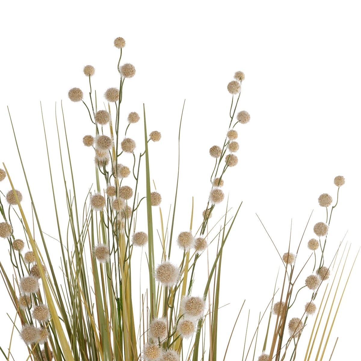 GloboStar® Artificial Garden CRASPEDIA GRASS 21480 Τεχνητό Διακοσμητικό Φυτό Μπεζ & Πράσινο Κρασπέδια Μ90 x Π60 x Υ175cm 3 GloboStar® Artificial Garden CRASPEDIA GRASS 21480 Τεχνητό Διακοσμητικό Φυτό Μπεζ & Πράσινο Κρασπέδια Μ90 x Π60 x Υ175cm - Image 2