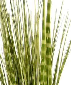 Alternative view of GloboStar® Artificial Garden ZEBRA GRASS 21481 Τεχνητό Διακοσμητικό Φυτό Ζέμπρα Μ30 x Π20 x Υ90cm