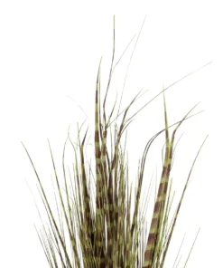 GloboStar® Artificial Garden ZEBRA GRASS 21482 Τεχνητό Διακοσμητικό Φυτό Ζέμπρα Υ85cm 8 21482 3