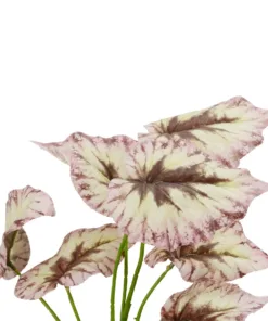 Alternative view of GloboStar® Artificial Garden BEGONIA LEAVES ROOTED 21489 Τεχνητό Διακοσμητικό Φυτό Πολύχρωμη Βιγόνια Μ25 x Π14 x Υ35cm