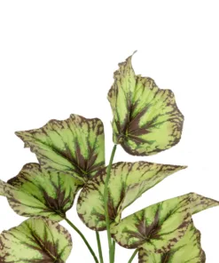 GloboStar® Artificial Garden BEGONIA LEAVES ROOTED 21491 Τεχνητό Διακοσμητικό Φυτό Πολύχρωμη Βιγόνια Μ25 x Π14 x Υ35cm 7 21491 3