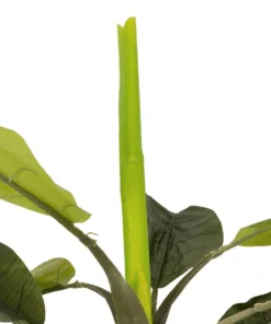 Alternative view of GloboStar® Artificial Garden BANANA TREE 21500 Τεχνητό Διακοσμητικό Δέντρο Μπανανιάς Υ300cm