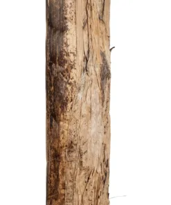 GloboStar® Artificial Garden BANANA TREE 21501 Τεχνητό Διακοσμητικό Δέντρο Μπανανιάς Υ400cm 13 21501 6