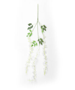 Alternative view of GloboStar® Artificial Garden WHITE WISTERIA FLOWER BRANCH 21513 Σετ 12 Τεχνητά Διακοσμητικά κλαδιά Βιστέριας Λευκό Φ45 x Υ120cm