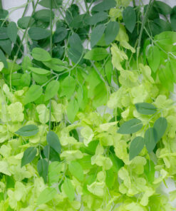GloboStar® Artificial Garden GREEN WISTERIA FLOWER BRANCH 21514 Σετ 12 Τεχνητά Διακοσμητικά κλαδιά Βιστέριας Πράσινο Φ45 x Υ120cm 9 21514 4