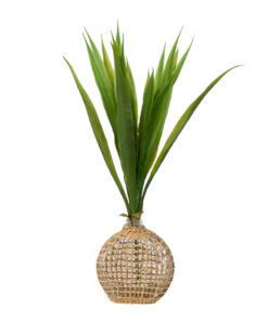 GloboStar® MANDY 35624 Διακοσμητικό Βάζο Γυάλινο Διάφανο με Μπαμπού Μ10.5 x Π4 x Υ11cm 11 35624 5