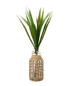 GloboStar® MANDY 35625 Διακοσμητικό Βάζο Γυάλινο Διάφανο με Μπαμπού Φ8.5 x Υ17.5cm 9 35625 4