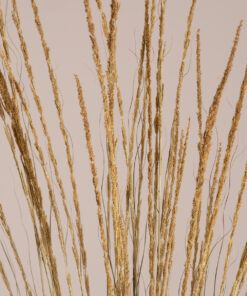 GloboStar® GloboStar® SMUTGRASS 36502 Αποξηραμένο Φυτό Χορταφιλιά - Μπουκέτο Διακοσμητικών Κλαδιών Μπεζ - Πράσινο Υ90cm - Σετ 100 τμχ