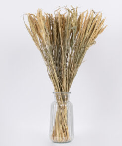 GloboStar® ERICAGRASS 36504 Αποξηραμένο Φυτό Έρρικα - Μπουκέτο Διακοσμητικών Κλαδιών Μπεζ - Πράσινο Υ60cm - Σετ 100 τμχ 6 36504 3