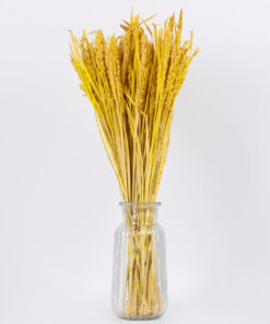 GloboStar® RISEGRASS 36506 Αποξηραμένο Φυτό Ρύζι - Μπουκέτο Διακοσμητικών Κλαδιών Μπεζ - Κίτρινο Υ60cm - Σετ 105 τμχ 7 36506 3