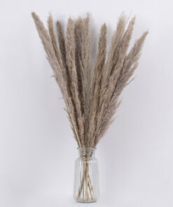 GloboStar® PAMPASGRASS 36511 Αποξηραμένο Φυτό Γρασίδι της Πάμπας - Μπουκέτο Διακοσμητικών Κλαδιών Καφέ - Γκρι Υ80cm - Σετ 10 τμχ 6 36511 3