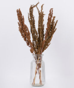 GloboStar® CURLYDOCK 36541 Αποξηραμένο Φυτό Αγριολάπαθο - Μπουκέτο Διακοσμητικών Κλαδιών Μπεζ - Καφέ Υ60cm - Σετ 8 τμχ 7 36541 3