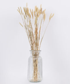 GloboStar® FOUNTAINGRASS 36542 Αποξηραμένο Φυτό Πεννίζετο - Μπουκέτο Διακοσμητικών Κλαδιών Μπεζ - Πράσινο Υ60cm - Σετ 50 τμχ 7 36542 3