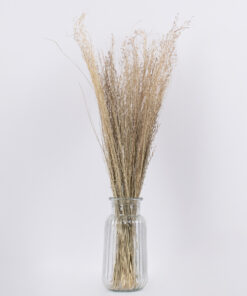 Alternative view of GloboStar® SILVERHAIRGRASS 36545 Αποξηραμένο Φυτό Ασημένια Χλόη - Μπουκέτο Διακοσμητικών Κλαδιών Μπεζ Υ60cm - Σετ 100 τμχ