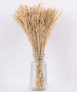 Alternative view of GloboStar® WHEAT 36550 Αποξηραμένο Φυτό Σίτος - Μπουκέτο Διακοσμητικών Κλαδιών Μπεζ Υ60cm - Σετ 100 τμχ