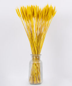 Alternative view of GloboStar® BARLEY 36552 Αποξηραμένο Φυτό Κριθάρι - Μπουκέτο Διακοσμητικών Κλαδιών Μπεζ - Κίτρινο Υ60cm - Σετ 105 τμχ