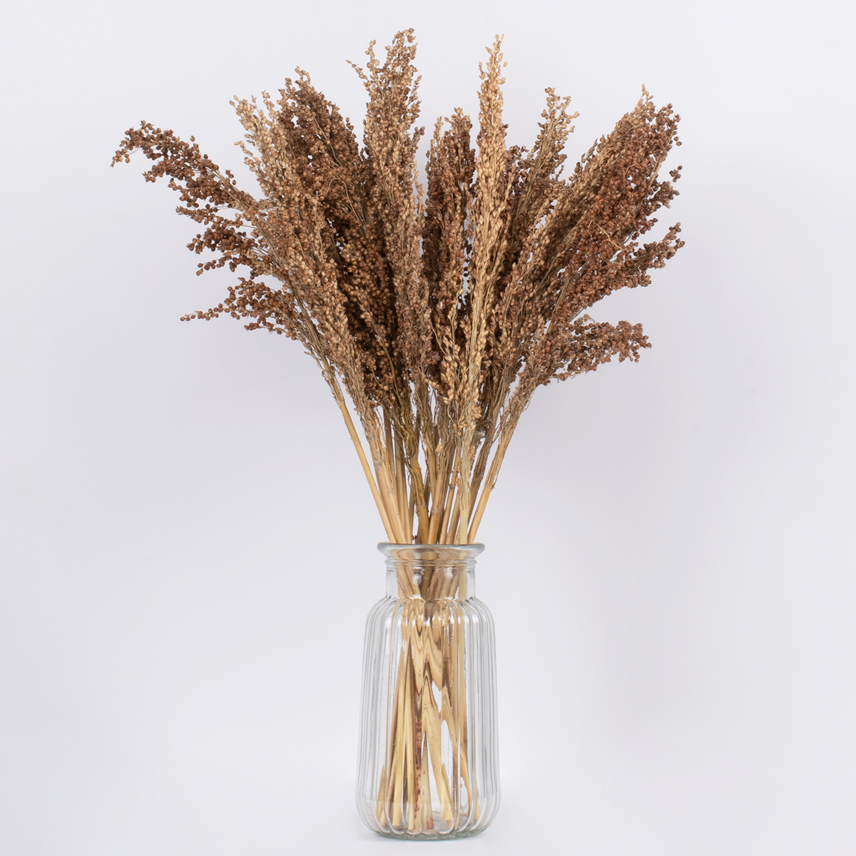 GloboStar® BROOMCORN 36553 Αποξηραμένο Φυτό Γλυκό Σόργο - Μπουκέτο Διακοσμητικών Κλαδιών Καφέ Υ60cm - Σετ 20 τμχ 4 GloboStar® BROOMCORN 36553 Αποξηραμένο Φυτό Γλυκό Σόργο - Μπουκέτο Διακοσμητικών Κλαδιών Καφέ Υ60cm - Σετ 20 τμχ - Image 3