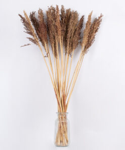 GloboStar® BROOMCORN 36555 Αποξηραμένο Φυτό Γλυκό Σόργο - Μπουκέτο Διακοσμητικών Κλαδιών Καφέ Υ100cm - Σετ 20 τμχ 4 36555 3