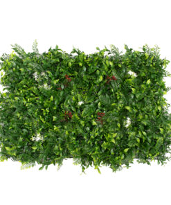 Νάνος Φτέρη