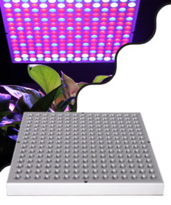 GloboStar® GloboStar® 85954 Grow Light Panel Full Spectrum LED Φωτιστικό Ανάπτυξης Φυτών Θερμοκηπίου SMD 2835 100W 160° AC230V IP54 Εσωτερικού Χώρου για Κάλυψη Επιφάνειας 1m x 1m Πλήρους Φάσματος Φωτισμού