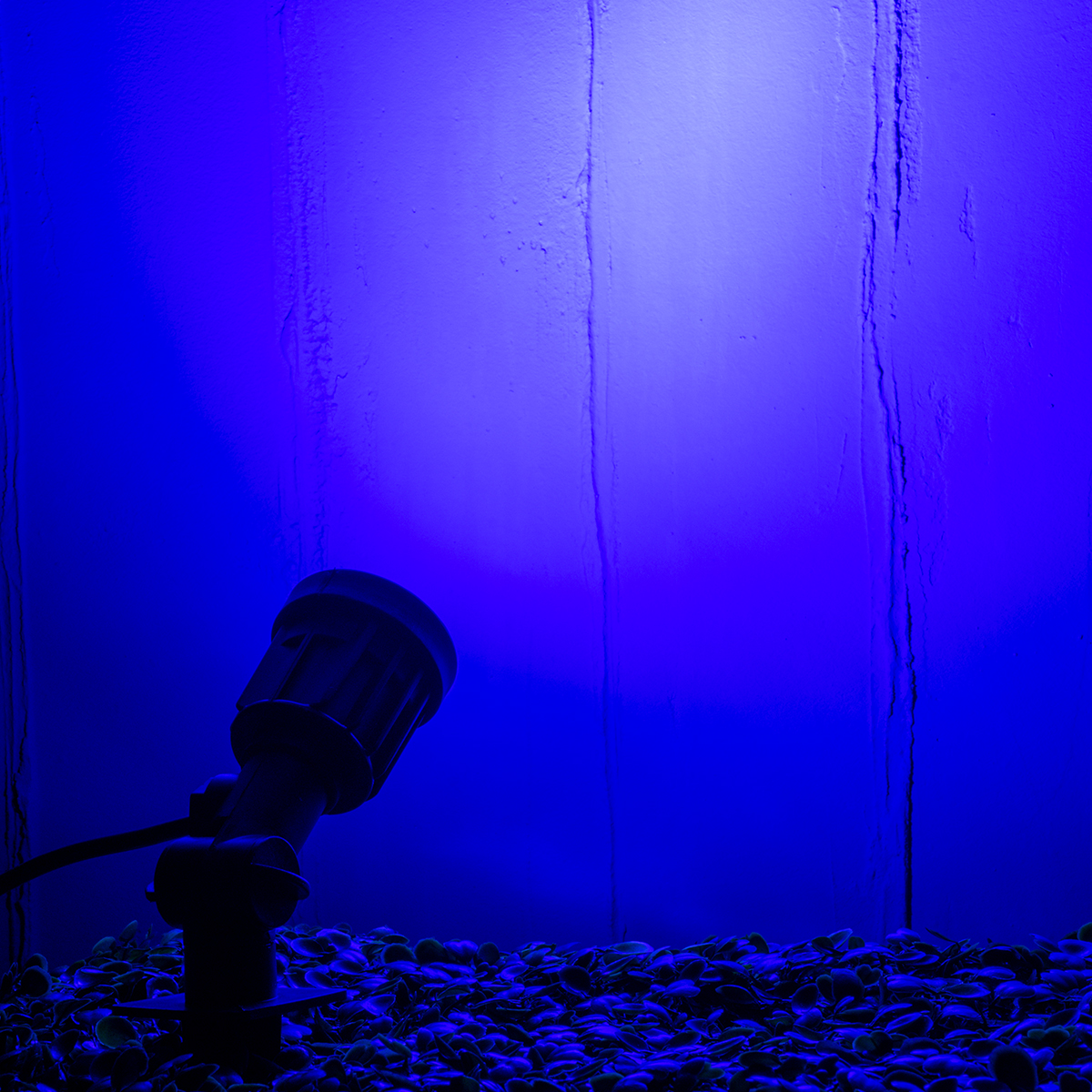 GloboStar® GARDENINI 61545 Καρφωτό Φωτιστικό Σποτ Κήπου LED 5W 550lm 38° DC 24V IP68 Υψηλής Αντοχής ABS IK06 Φ5.5 x Υ13.5cm - Μπλε 450nm Dimmable - Μαύρο - Bridgelux Chip - 3 Years Warranty 11 GloboStar® GARDENINI 61545 Καρφωτό Φωτιστικό Σποτ Κήπου LED 5W 550lm 38° DC 24V IP68 Υψηλής Αντοχής ABS IK06 Φ5.5 x Υ13.5cm - Μπλε 450nm Dimmable - Μαύρο - Bridgelux Chip - 3 Years Warranty - Image 9