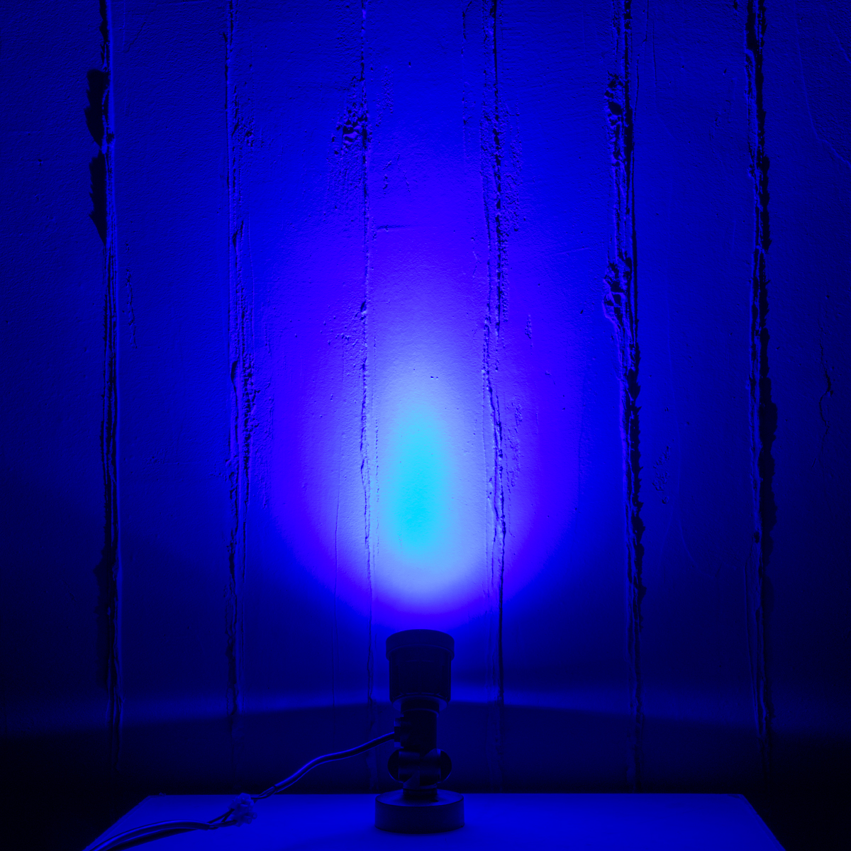 GloboStar® GARDENINI 61548 Επιφανειακό Φωτιστικό Σποτ Κήπου LED 5W 550lm 38° DC 24V IP68 Υψηλής Αντοχής ABS IK06 Φ7 x Υ14.5cm - Μπλε 450nm Dimmable - Μαύρο - Bridgelux Chip - 3 Years Warranty 10 GloboStar® GARDENINI 61548 Επιφανειακό Φωτιστικό Σποτ Κήπου LED 5W 550lm 38° DC 24V IP68 Υψηλής Αντοχής ABS IK06 Φ7 x Υ14.5cm - Μπλε 450nm Dimmable - Μαύρο - Bridgelux Chip - 3 Years Warranty - Image 8