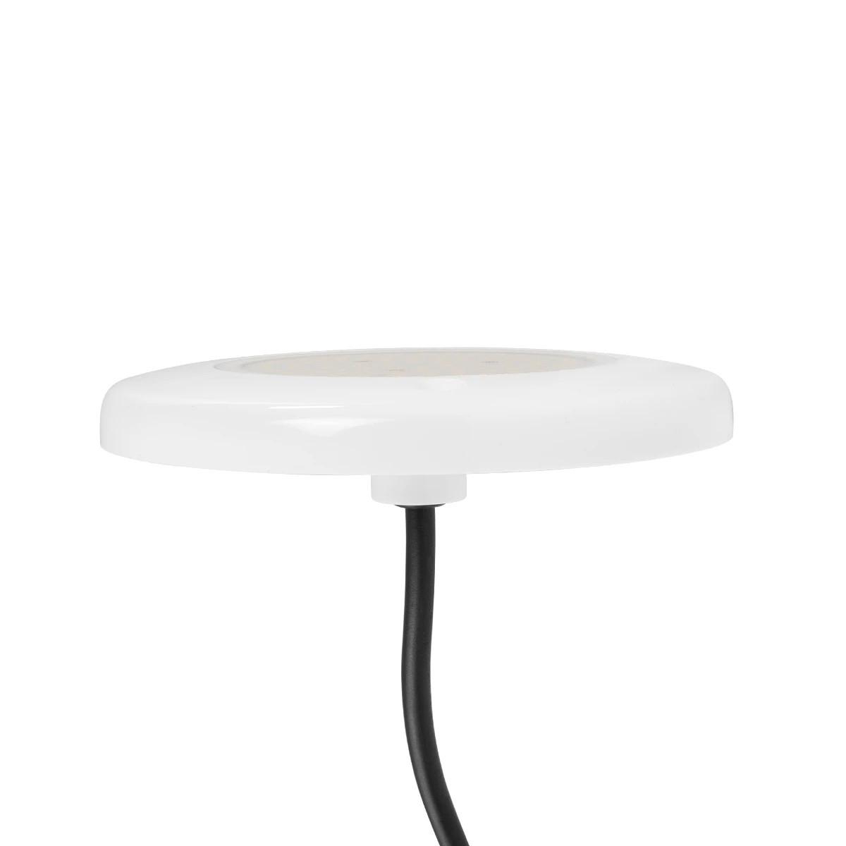 GLOBOSTAR® POOLARTY 61715 Υποβρύχιο Φωτιστικό για Σιντριβάνια/Πισίνες LED 8W 640lm 120° DC 12V Αδιάβροχο IP68 Φυσικό Λευκό 4500K Dimmable - Bridgelux SMD Chip - 1m VDE Rubber Καλώδιο - Φ13 x Υ2cm - 3 Χρόνια Εγγύηση 5 GLOBOSTAR® POOLARTY 61715 Υποβρύχιο Φωτιστικό για Σιντριβάνια/Πισίνες LED 8W 640lm 120° DC 12V Αδιάβροχο IP68 Φυσικό Λευκό 4500K Dimmable - Bridgelux SMD Chip - 1m VDE Rubber Καλώδιο - Φ13 x Υ2cm - 3 Χρόνια Εγγύηση - Image 4