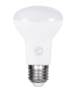 GloboStar® GloboStar® 60078 Λάμπα LED E27 R63 Σποτ 10W 1000lm 120° AC 220-240V IP20 Φ6.3 x Υ10.4cm Ψυχρό Λευκό 6000K - 3 Years Warranty