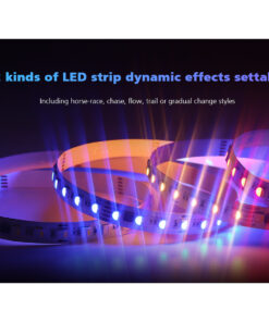 GloboStar® 73143 DS-WP SKYDANCE DC RF 2.4Ghz DMX512 to SPI Decoder DC 5-24V - Αδιάβροχο IP65 Μ17 x Π8 x Υ4cm - 5 Χρόνια Εγγύηση 24 73143 12