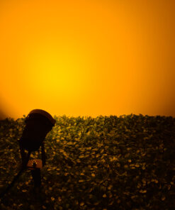 GLOBOSTAR® TREELIGHT-COBO 75584 Σποτ Φωτισμού για Φυτά - Δέντρα LED 10W 1000lm 35° DC 12-24V Αδιάβροχο IP65 Ultra Θερμό Λευκό 2200K Dimmable - Μαύρο - Μ6 x Π6 x Υ12.5cm - 3 Χρόνια Εγγύηση 21 75584 10