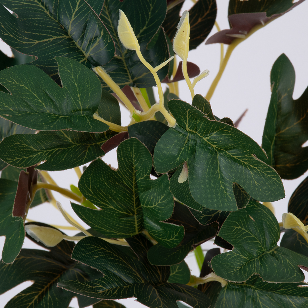 GloboStar® BELLYACHE BUSH 78219 Τεχνητό Φυτό Γιατρόφα - Μπουκέτο Διακοσμητικών Φυτών - Κλαδιών με Φύλλωμα Πράσινο - Κίτρινο - Κόκκινο Υ28cm 3 GloboStar® GloboStar® BELLYACHE BUSH 78219 Τεχνητό Φυτό Γιατρόφα - Μπουκέτο Διακοσμητικών Φυτών - Κλαδιών με Φύλλωμα Πράσινο - Κίτρινο - Κόκκινο Υ28cm