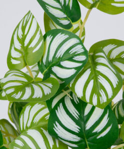 GloboStar® GloboStar® PEPEROMIA L.GREEN 78220 Τεχνητό Φυτό Πεπερόμια Αν.Πρ. - Μπουκέτο Διακοσμητικών Φυτών - Κλαδιών με Φύλλωμα Πράσινο - Κίτρινο - Λευκό Υ28cm