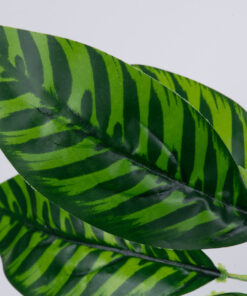 GloboStar® GloboStar® ZEBRA PLANT 78221 Τεχνητό Φυτό Ζέβρα - Μπουκέτο Διακοσμητικών Φυτών - Κλαδιών με Φύλλωμα Πράσινο Υ16cm